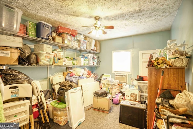 storage room featuring ceiling fan