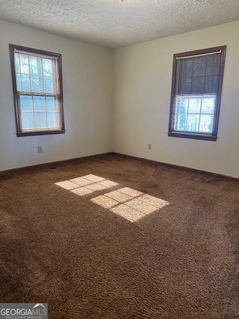 unfurnished room with a textured ceiling, carpet floors, and a healthy amount of sunlight