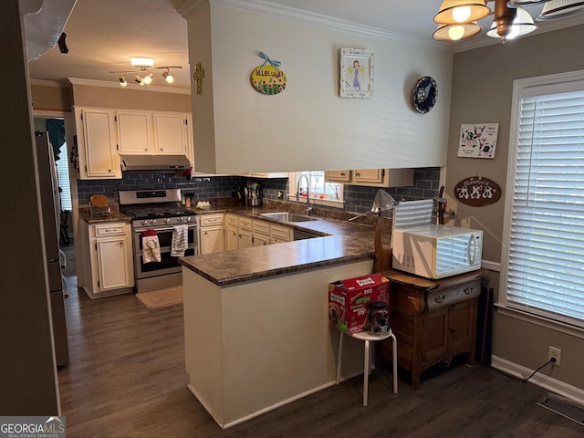 kitchen with sink, crown molding, an inviting chandelier, stainless steel appliances, and kitchen peninsula