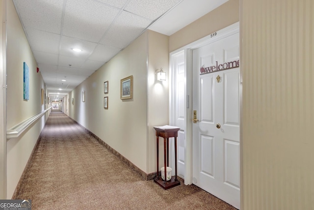 hall featuring carpet floors and a drop ceiling