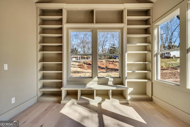 interior space featuring light hardwood / wood-style floors and a wealth of natural light