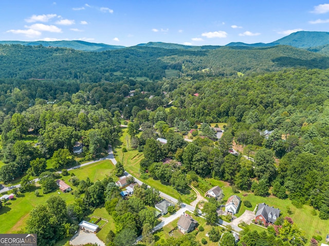 birds eye view of property featuring a mountain view