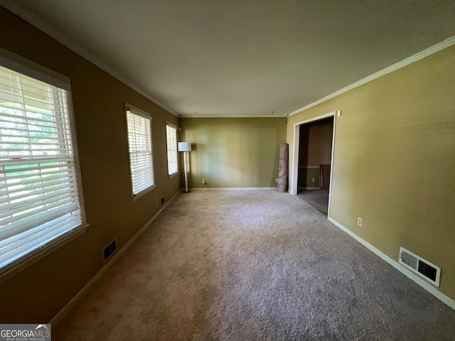 spare room featuring ornamental molding and carpet flooring