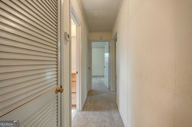 corridor with ornamental molding and light carpet