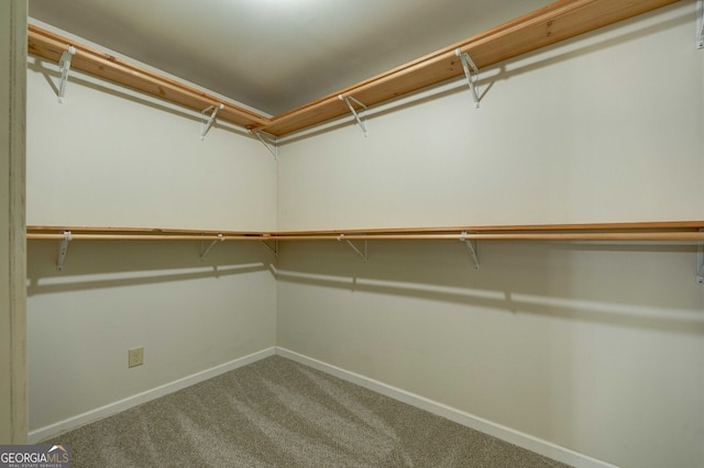 walk in closet with carpet