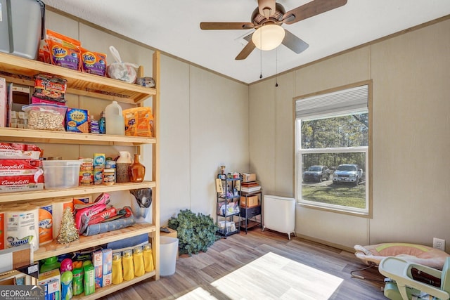 playroom featuring wood-type flooring and ceiling fan