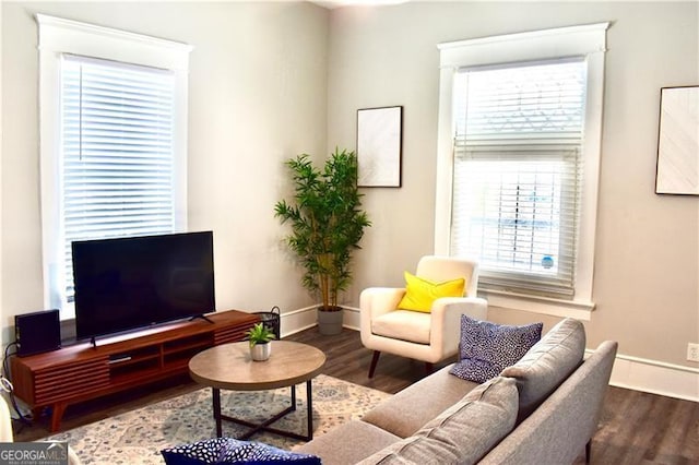 living room with wood-type flooring