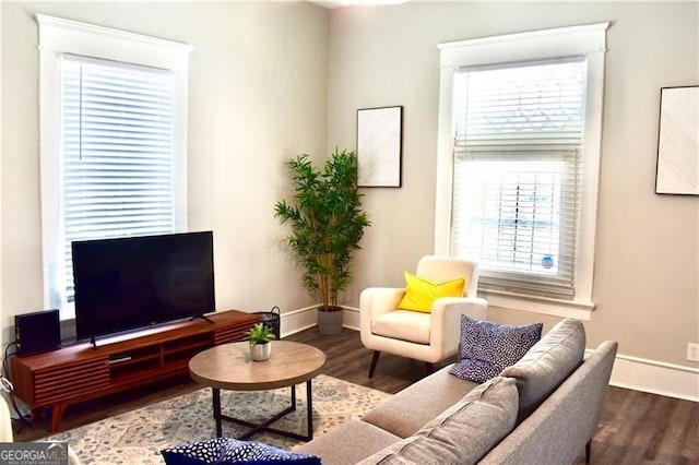 living room featuring wood-type flooring