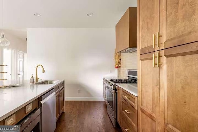 kitchen with sink, appliances with stainless steel finishes, dark hardwood / wood-style floors, custom range hood, and decorative backsplash