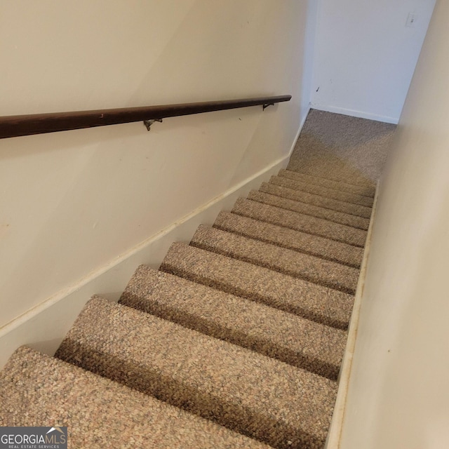 staircase featuring carpet floors