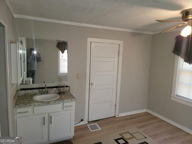 bathroom featuring crown molding, ceiling fan, wood-type flooring, and vanity