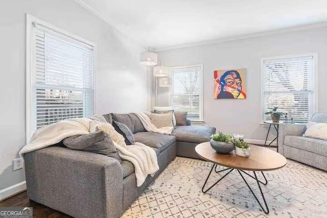 living room with wood-type flooring and a healthy amount of sunlight