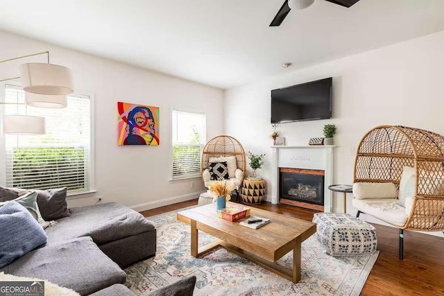 living room featuring ceiling fan and light hardwood / wood-style flooring