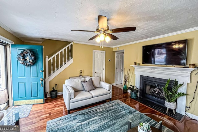 living room featuring ceiling fan, crown molding, wood-type flooring, and a textured ceiling