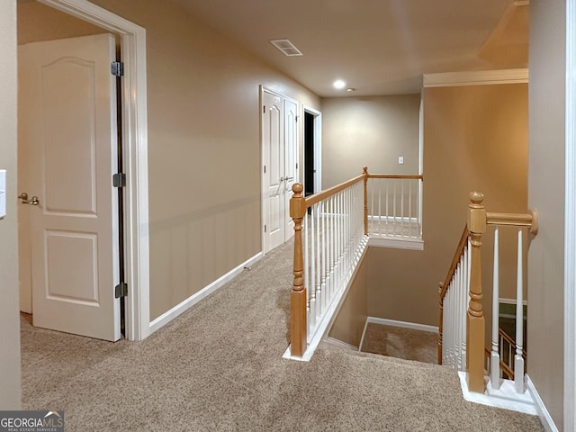 stairs featuring carpet flooring