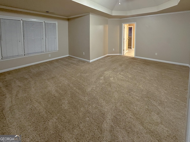 carpeted spare room with crown molding and a raised ceiling