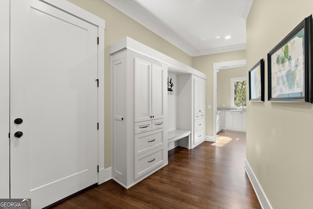 mudroom with crown molding and dark hardwood / wood-style flooring