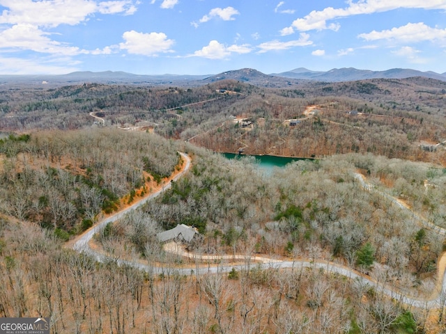 birds eye view of property with a mountain view