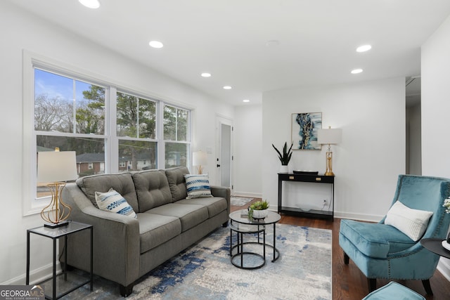 living room with dark wood-type flooring