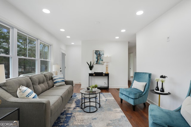 living room featuring dark wood-type flooring