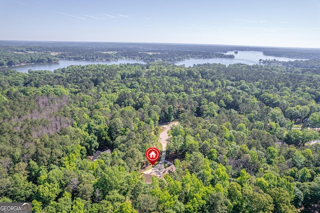 bird's eye view featuring a water view and a forest view