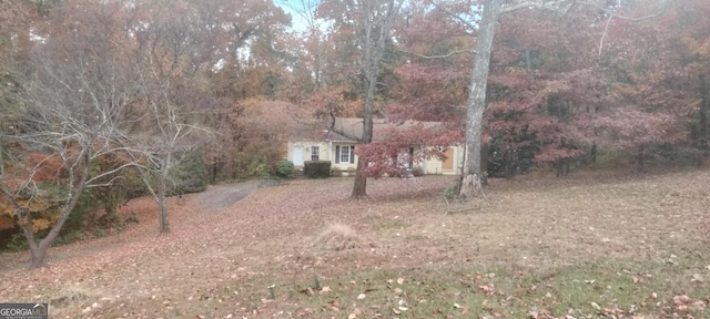 view of yard with driveway