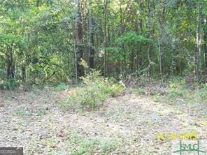 0 Salt Creek Rd, Savannah GA, 31405 land for sale