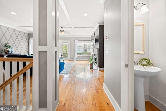 hall with ornamental molding, sink, and light hardwood / wood-style floors