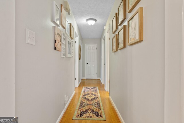 bedroom featuring wood-type flooring and a textured ceiling