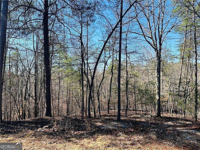 LOT20 Crown Mountain Way, Dahlonega GA, 30533 land for sale