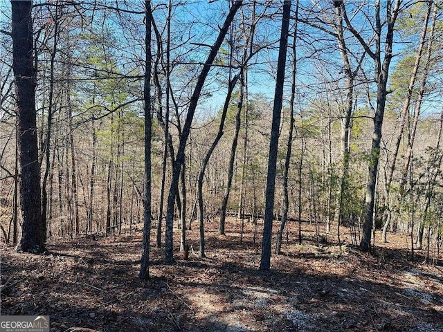 Listing photo 2 for LOT20 Crown Mountain Way, Dahlonega GA 30533