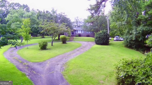 view of community with a lawn