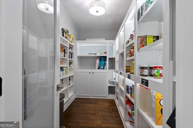 109 Slate Dr, Buford, GA 30518 - view of pantry
