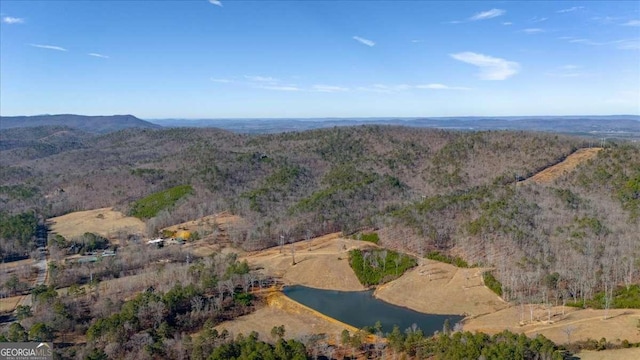 birds eye view of property featuring a water and mountain view