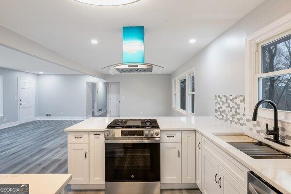 kitchen with stainless steel appliances, white cabinetry, sink, and island range hood