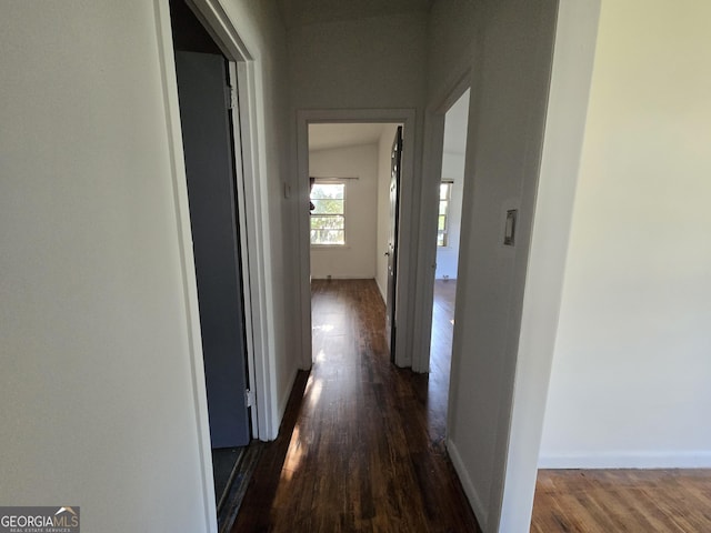 hallway featuring dark hardwood / wood-style floors