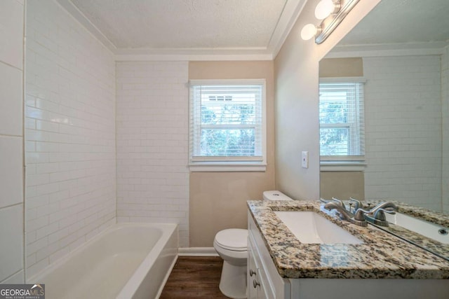 bathroom featuring wood-type flooring, a healthy amount of sunlight, vanity, and a textured ceiling