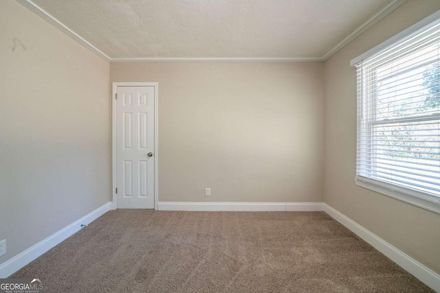 carpeted spare room featuring crown molding and a healthy amount of sunlight