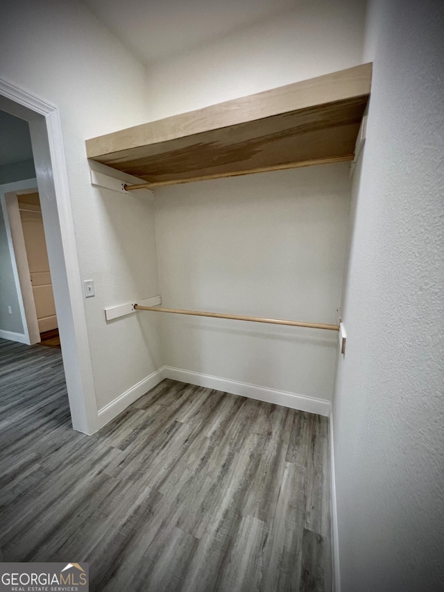 spacious closet with wood-type flooring