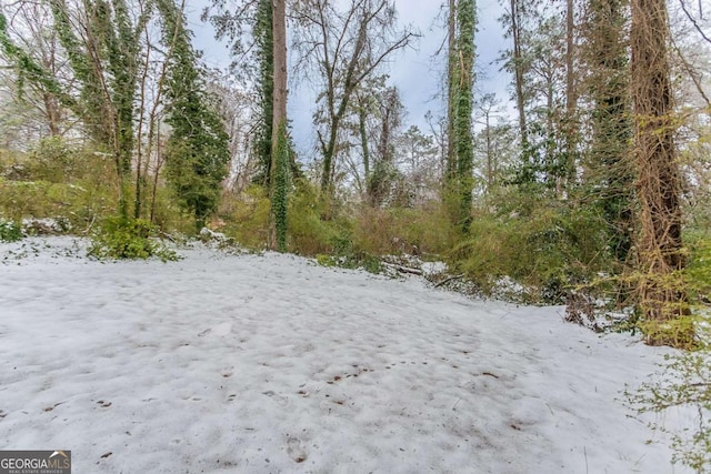 view of snowy landscape