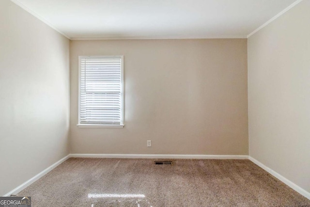 spare room featuring carpet floors and ornamental molding