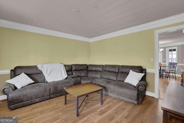 living room featuring crown molding, wood-type flooring, and a textured ceiling