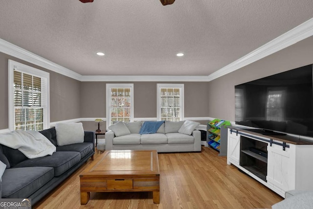 living room with a healthy amount of sunlight, crown molding, light hardwood / wood-style floors, and a textured ceiling