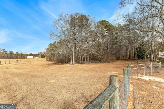 view of yard with a rural view