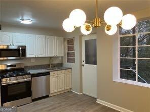 kitchen with sink, stainless steel appliances, dark hardwood / wood-style floors, and white cabinets