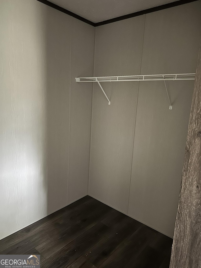 walk in closet featuring dark hardwood / wood-style floors