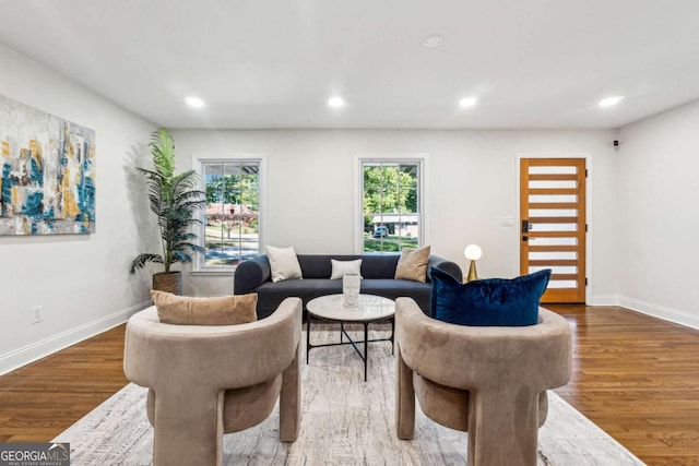 living room with hardwood / wood-style flooring