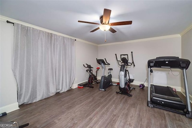 workout room with crown molding, ceiling fan, and hardwood / wood-style flooring