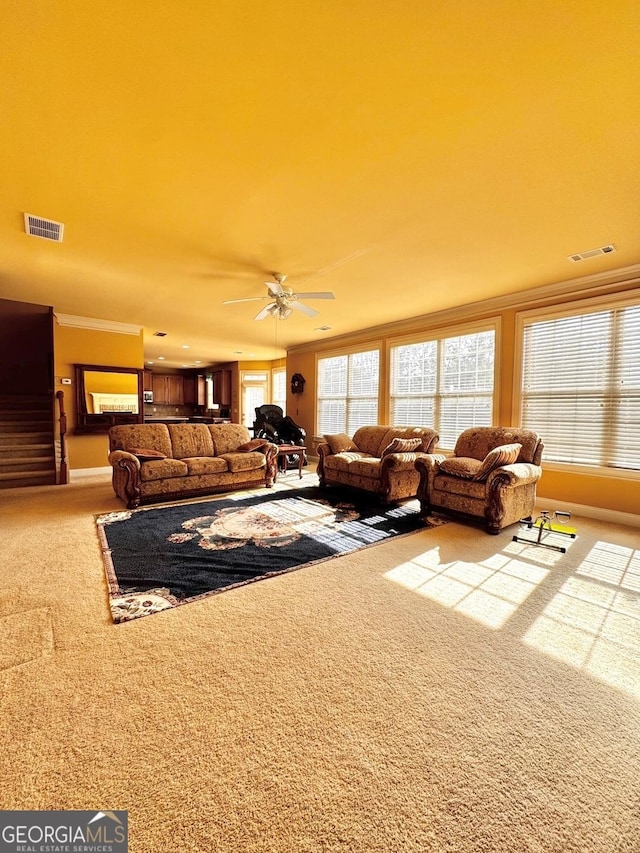 living room with crown molding, carpet floors, and ceiling fan