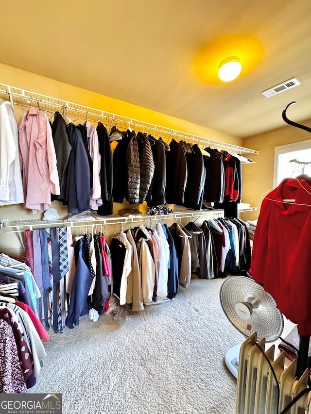 spacious closet with carpet floors